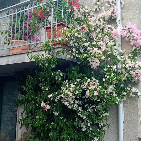 Hébergement de vacances Terrazza Dei Poeti *